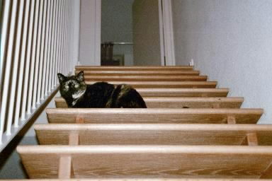 [gaurding the stairs]