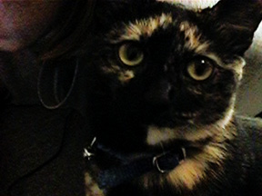 [closeup]