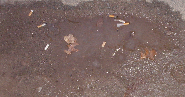 DSC00136.JPG