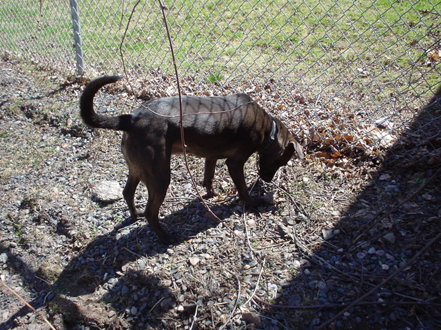 DSC00145.JPG