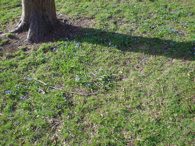 DSC00147.JPG