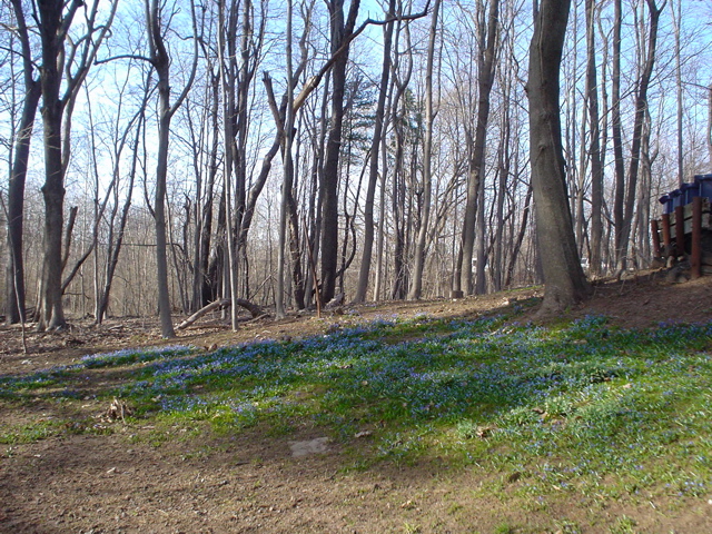 DSC00148.JPG