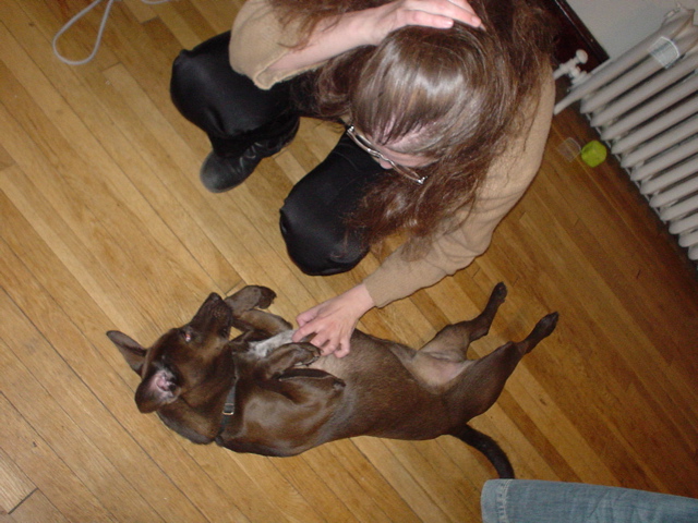 DSC00157.JPG