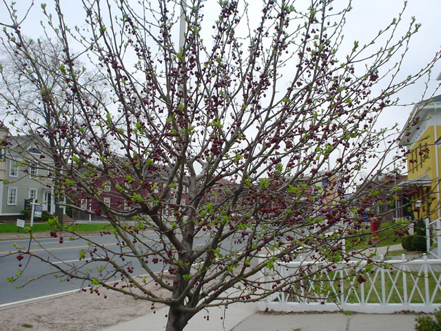 DSC00186.JPG