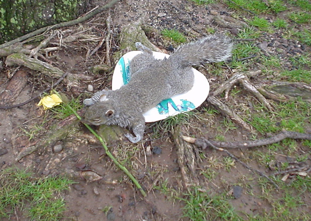 DSC00198.JPG