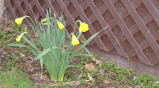 DSC00200.JPG