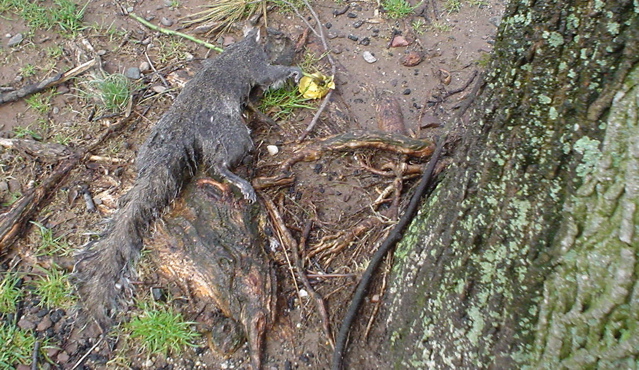 DSC00206.JPG