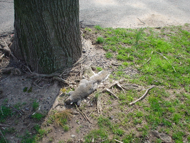 DSC00212.JPG