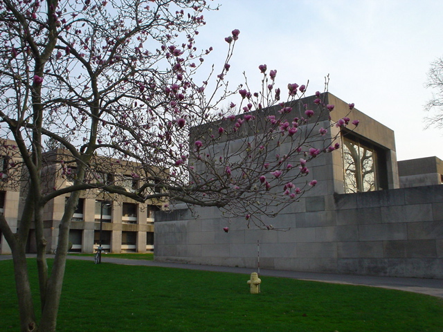 DSC00215.JPG
