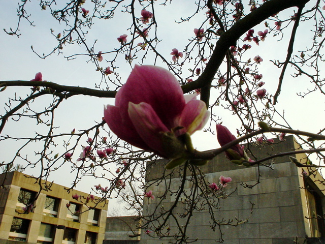 DSC00216.JPG