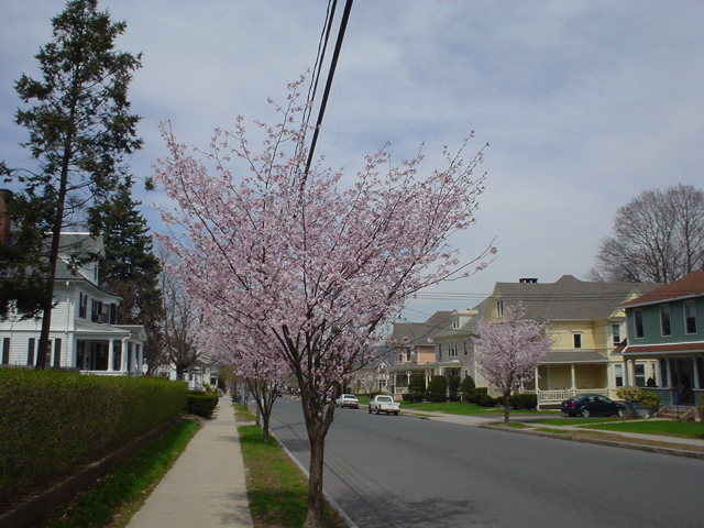 DSC00237.JPG
