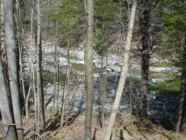 DSC00246.JPG