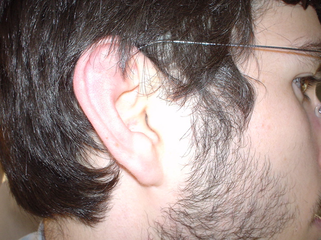 DSC00272.JPG