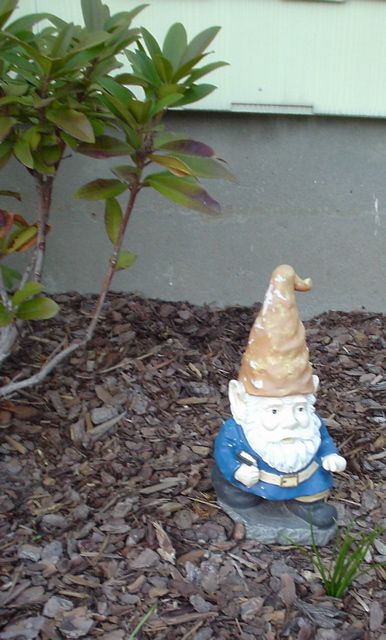 DSC00281.JPG