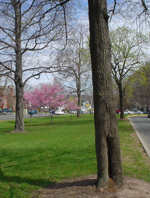 DSC00284.JPG