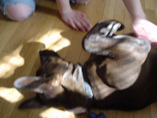 DSC00316.JPG