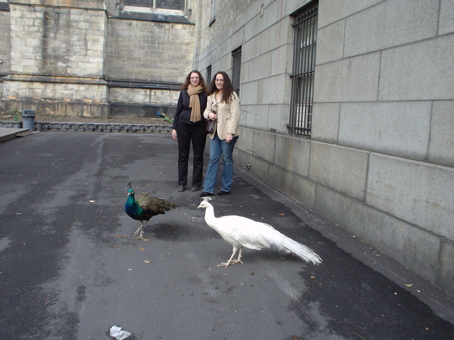 DSC00035.JPG
