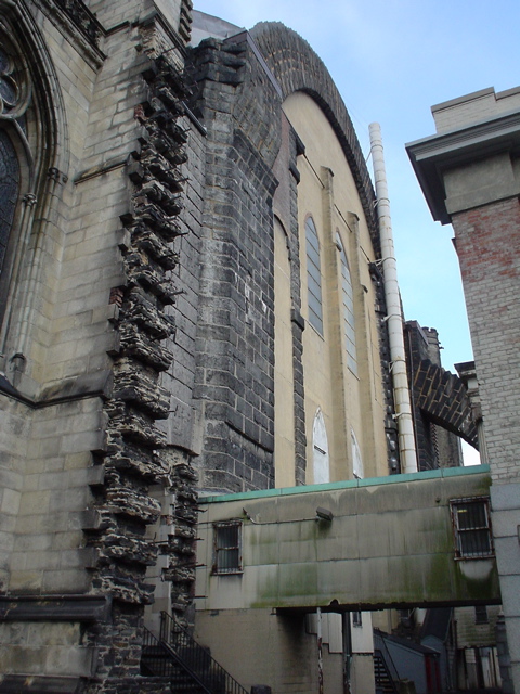 DSC00036.JPG
