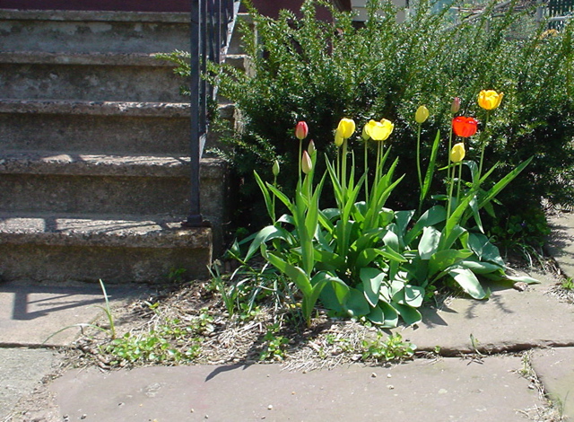 DSC00365.JPG