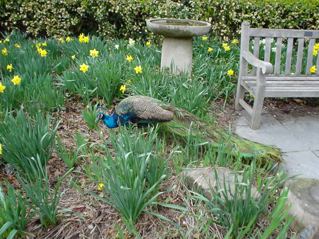 DSC00045.JPG