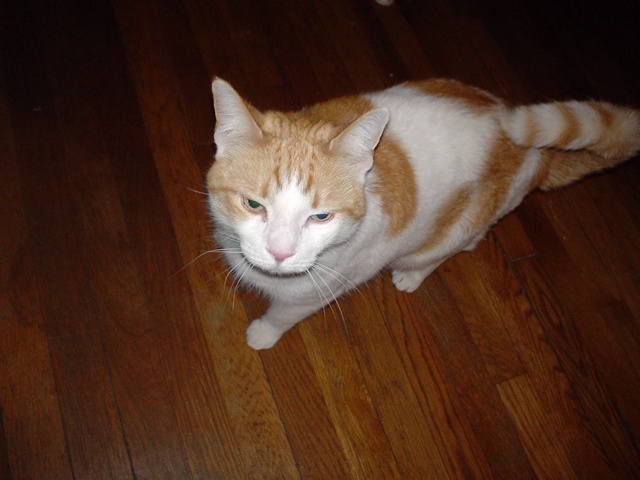 DSC00067.JPG