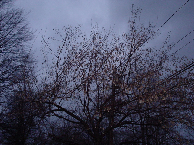 DSC00085.JPG