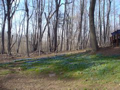 DSC00148.JPG
