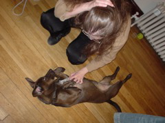 DSC00157.JPG