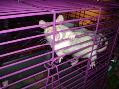 DSC00163.JPG