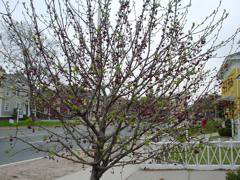 DSC00186.JPG