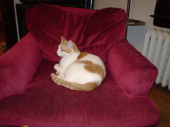 DSC00188.JPG