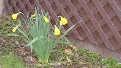 DSC00200.JPG