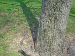 DSC00211.JPG