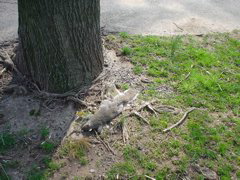 DSC00212.JPG