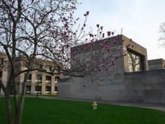 DSC00215.JPG