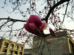 DSC00216.JPG