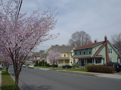 DSC00238.JPG