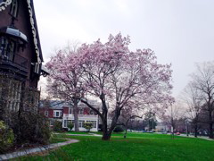 DSC00240.JPG
