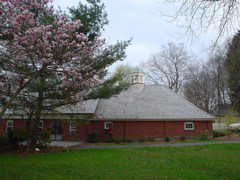 DSC00245.JPG