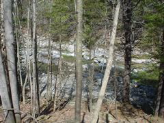 DSC00246.JPG