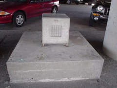 DSC00259.JPG