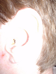 DSC00271.JPG
