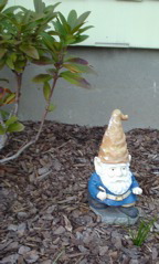DSC00281.JPG
