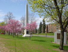 DSC00283.JPG