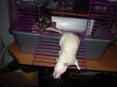 DSC00303.JPG