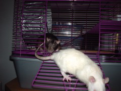 DSC00304.JPG