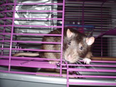 DSC00305.JPG