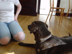 DSC00314.JPG