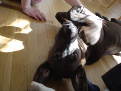 DSC00317.JPG