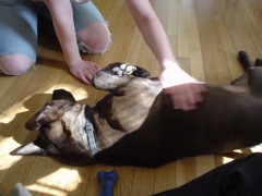 DSC00318.JPG